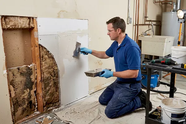 Mold and Drywall Repair Boise