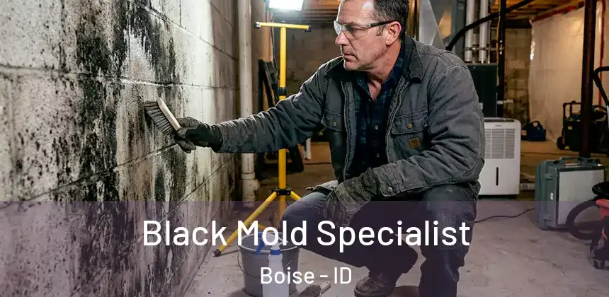  Black Mold Specialist Boise - ID