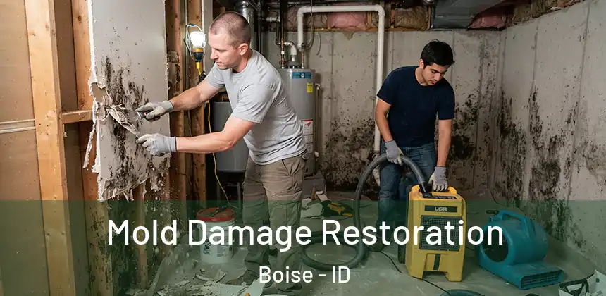 Mold Damage Restoration Boise - ID