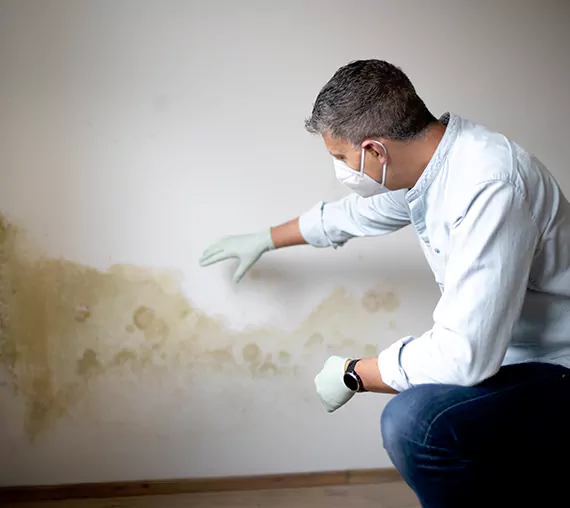 Mold Removal Service in Boise, ID