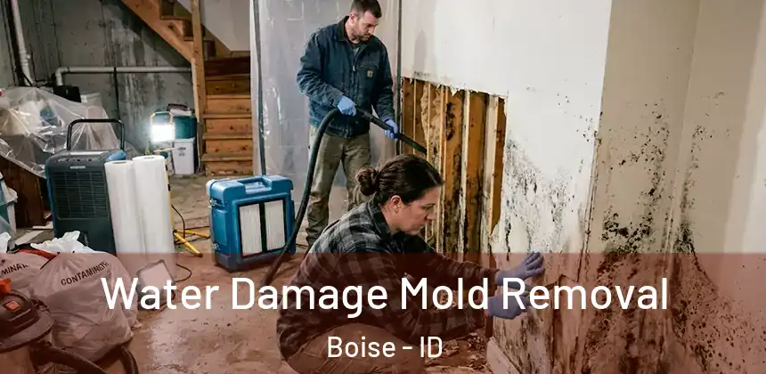  Water Damage Mold Removal Boise - ID